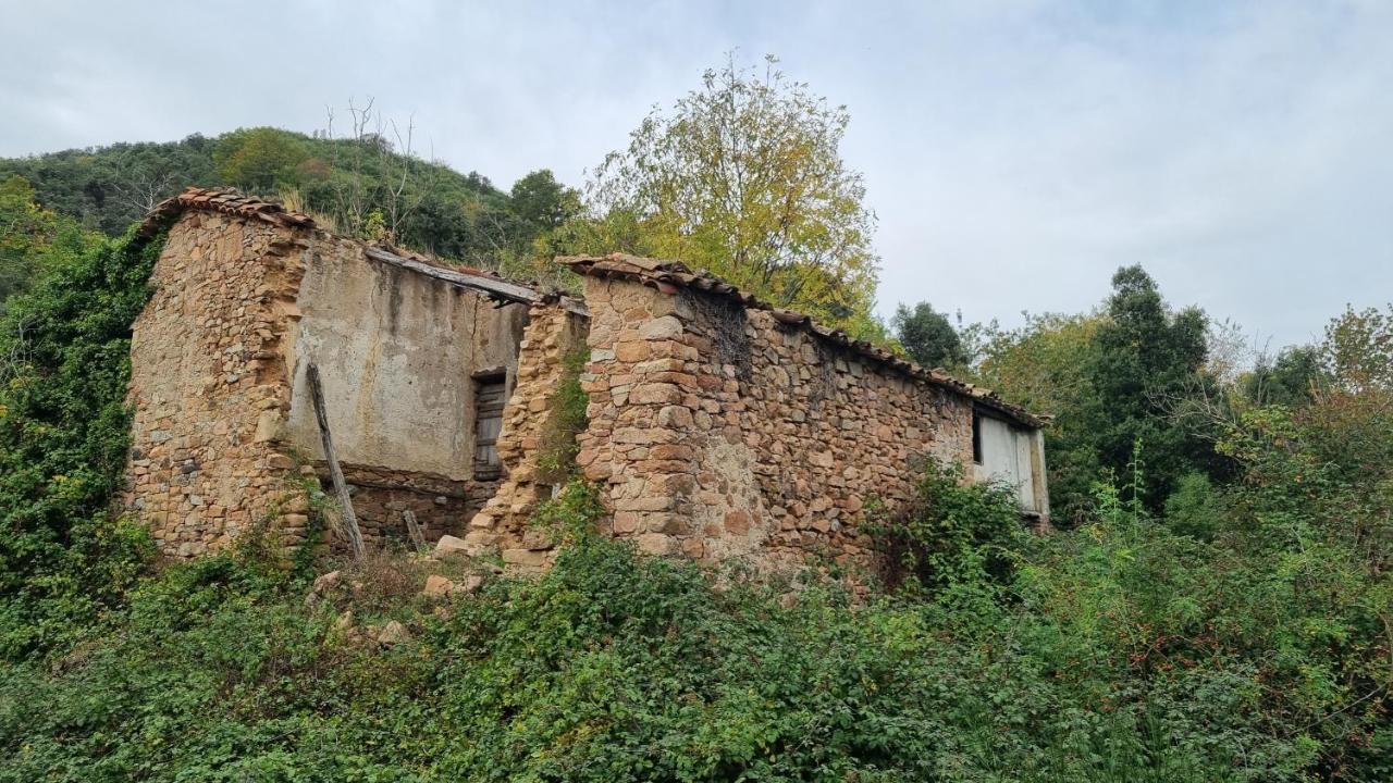 Ca La Pauleta Villa Sant Hilari Sacalm Exterior photo